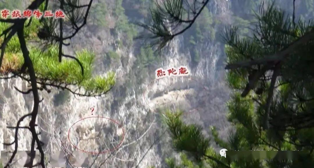 宝宝夏季游泳后如何清洁皮肤?是你必备的红迪网平台
